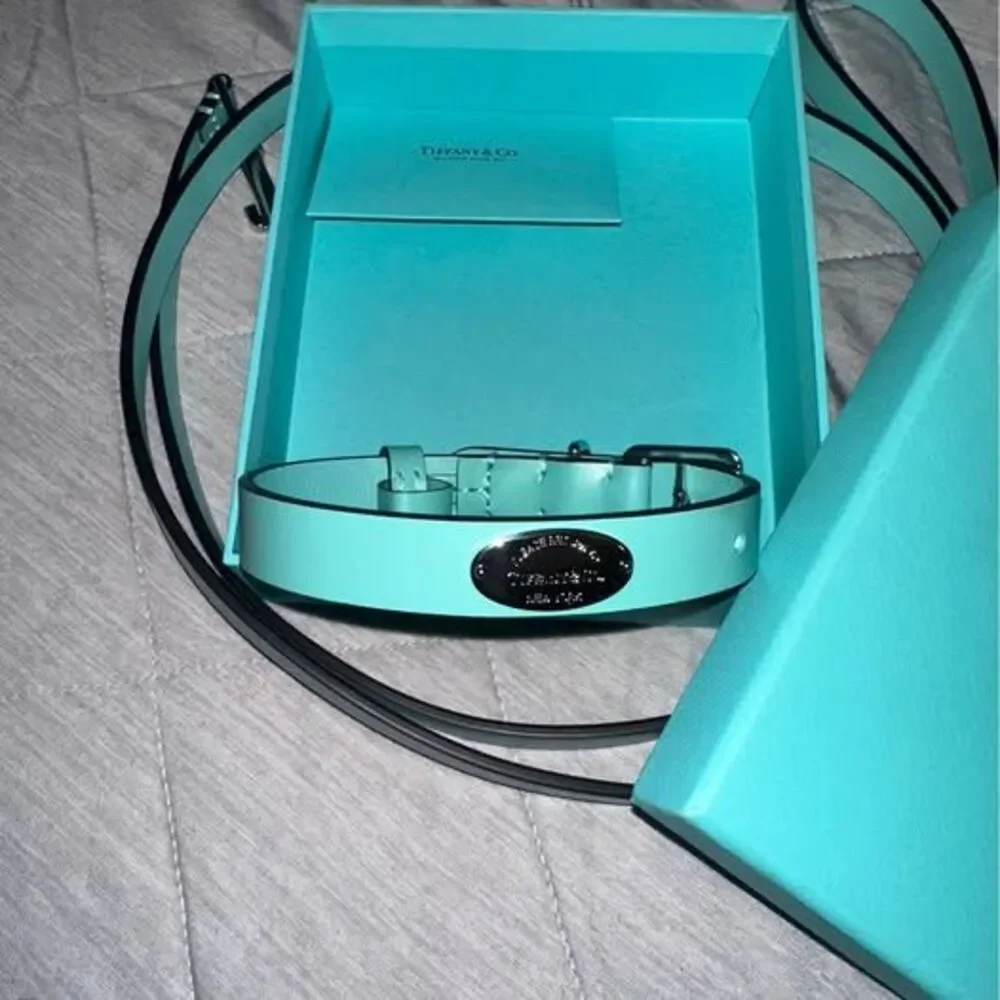 Tiffany & Co. Pet Collar and Leash Set